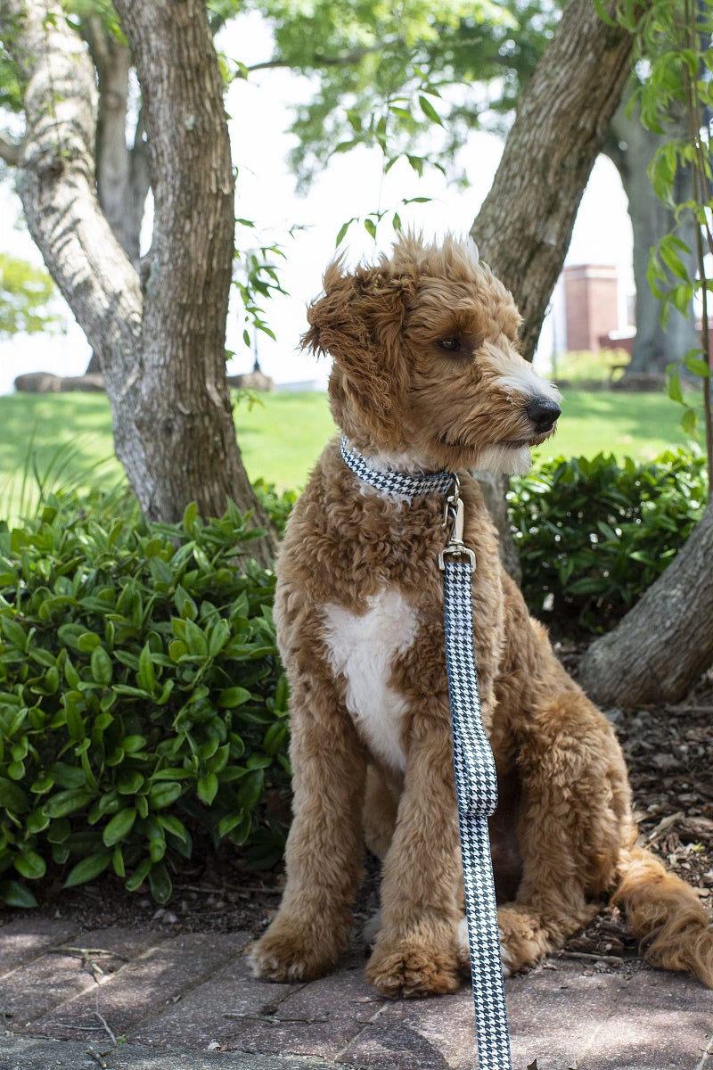Country Brook Design Country Brook Petz - Deluxe Houndstooth Dog Collar - Made in The U.S.A. - Sports and Athletics Collection Featuring Spirited Designs (1 Inch, Large) - Image 3